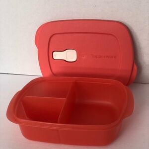 Tupperware Coral Divided Lunch Box